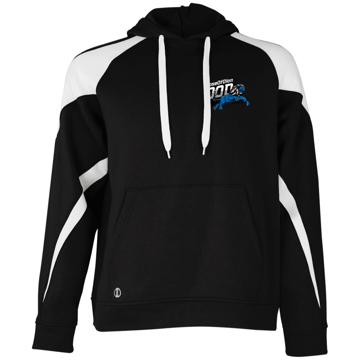 Dose of Dion 2.0 Athletic Colorblock Fleece Hoodie