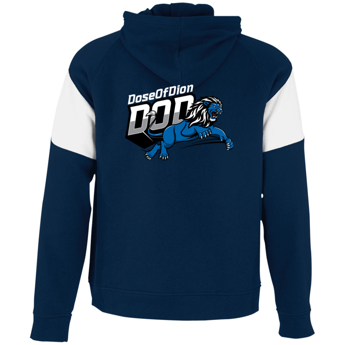 Dose of Dion 2.0 Athletic Colorblock Fleece Hoodie