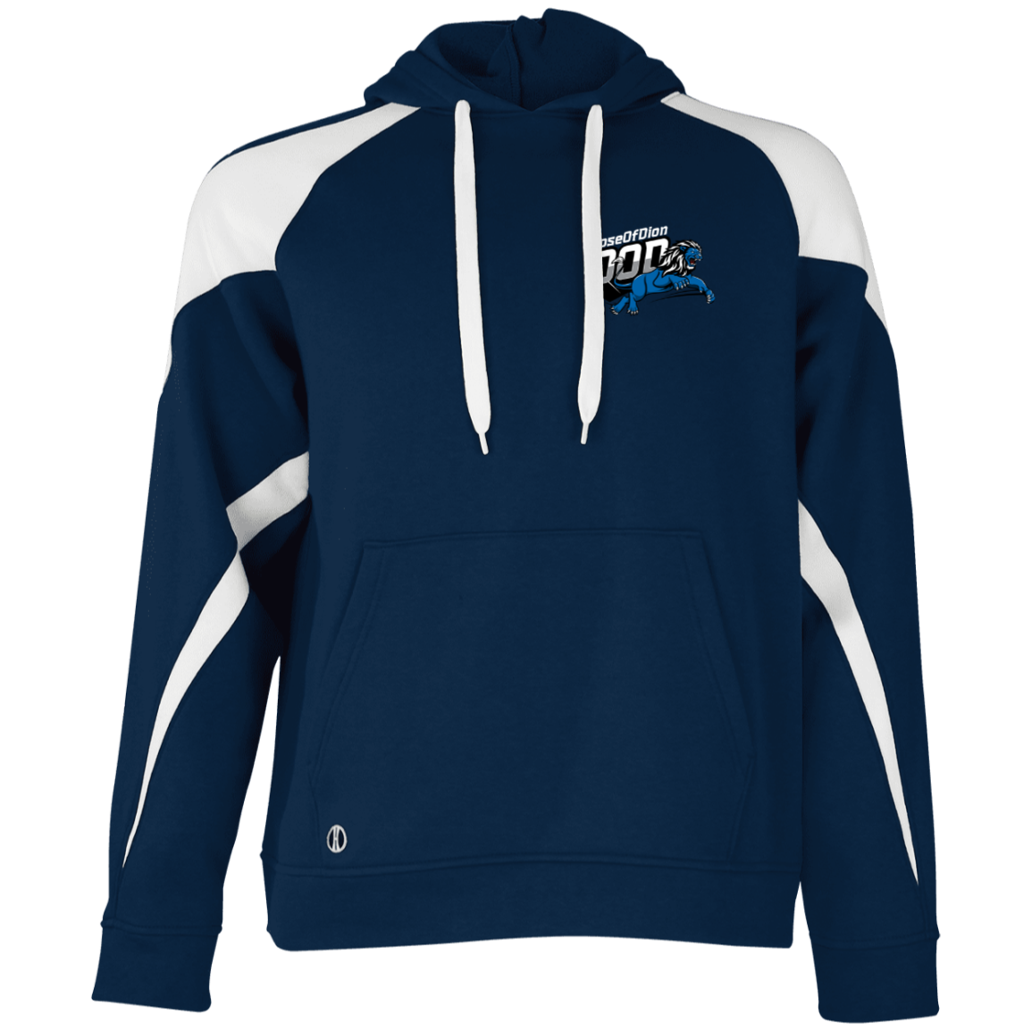 Dose of Dion 2.0 Athletic Colorblock Fleece Hoodie